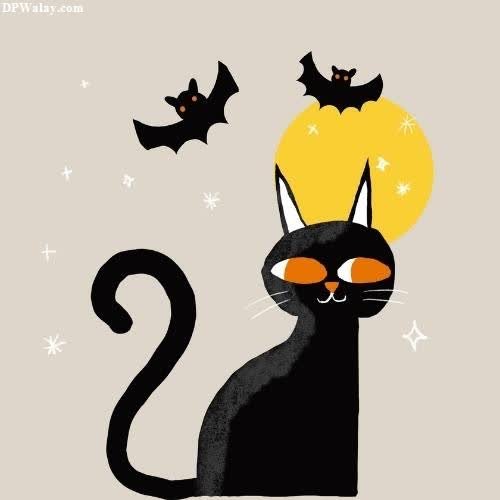 a black cat with bats flying around whatsapp dp cartoon images
