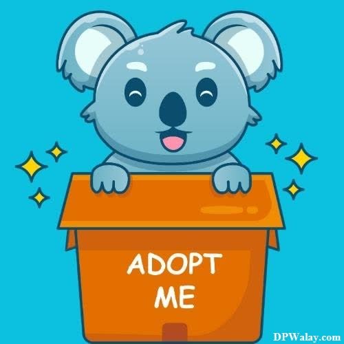 a koloa sitting in a box with the words adopt me 