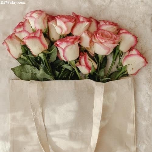 a white bag with pink roses in it whatsapp dp rose images 