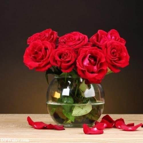 a vase filled with red roses on a table-7XK5 whatsapp dp rose images
