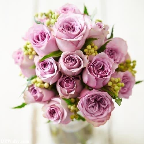 a vase filled with pink roses and green leaves images by DPwalay