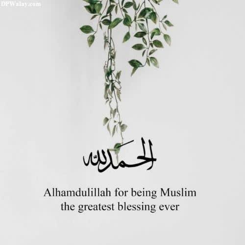a plant with the words allahh for allahh, the greatest blessing alhamdulillah dp for whatsapp