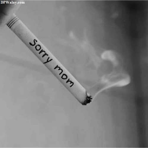 a cigarette with the word sorry written on it 