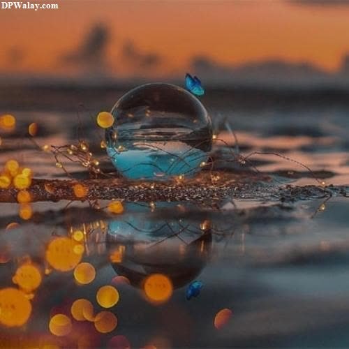 a glass ball floating in the water at sunset