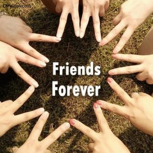 friends forever forever forever forever forever forever forever forever forever forever forever forever forever forever forever forever forever forever cute friends group dp 