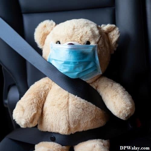 teddy bear in car seat wearing a mask images by DPwalay