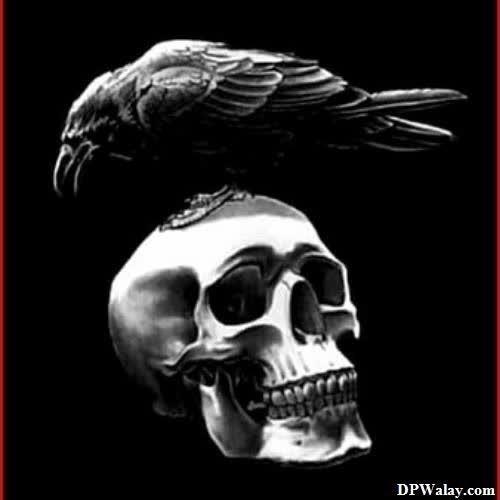 a skull with a raven on top of it