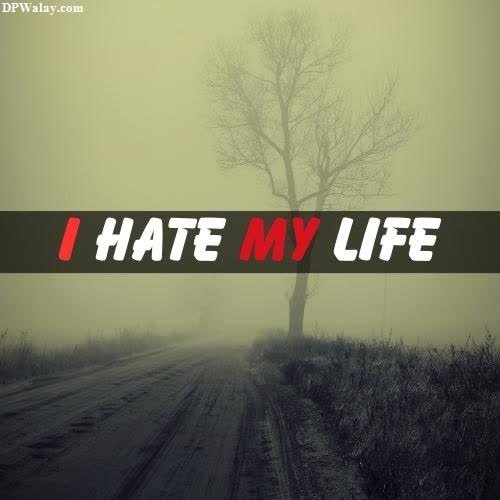 a tree in the fog with the words hate my life images by DPwalay