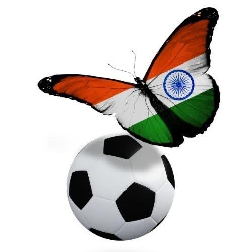a butterfly flying over a soccer ball with the indian flag indian flag for dp 