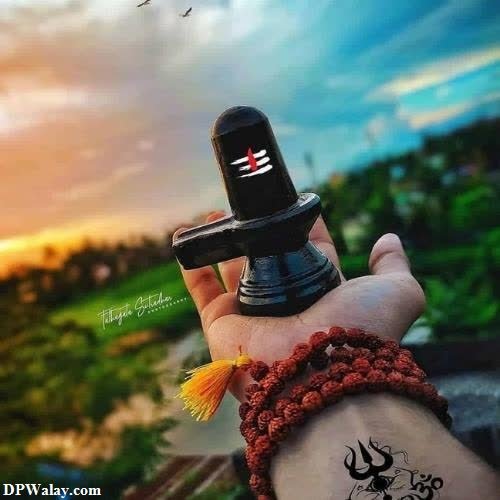 a person holding a bottle with a bird flying in the background mahakal dp new