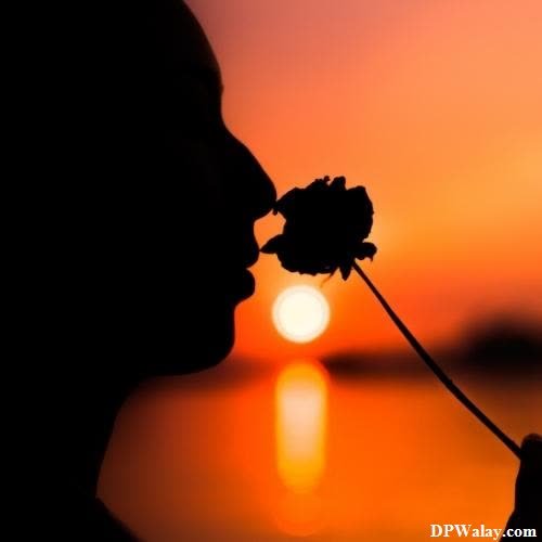 a silhouette of a woman blowing a flower at sunset romantic love dp for whatsapp 