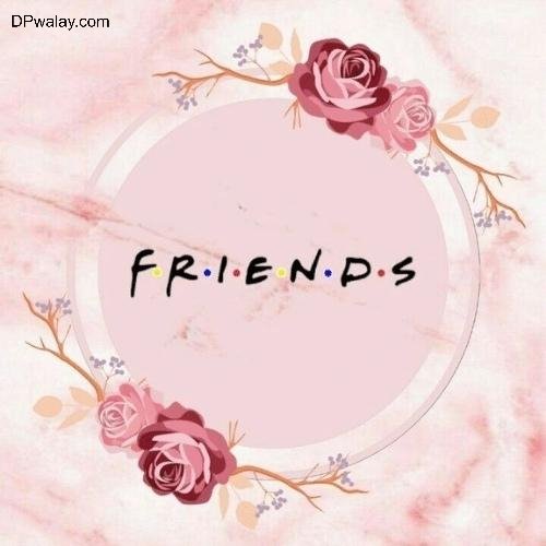 a pink rose frame with the word friends school friends dp