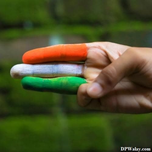 a person holding a carrot painted in the colors of the irish flag 
