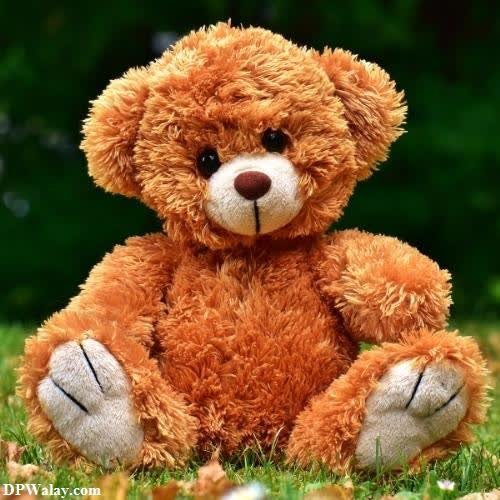 a teddy bear sitting in the grass