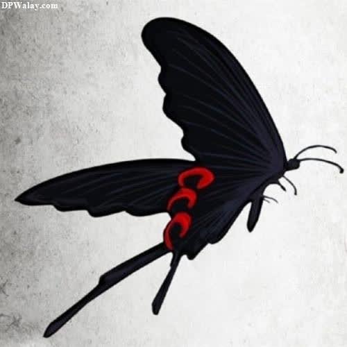 a black butterfly with red spots on its wings