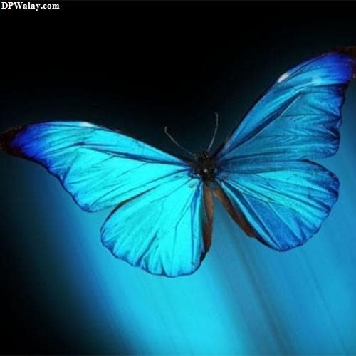 a blue butterfly flying through the air