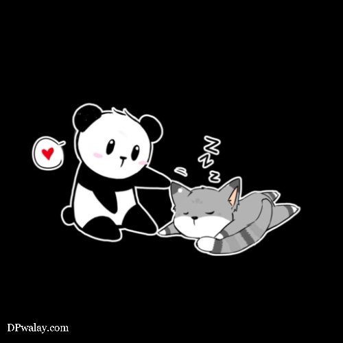 a panda and a cat are playing together