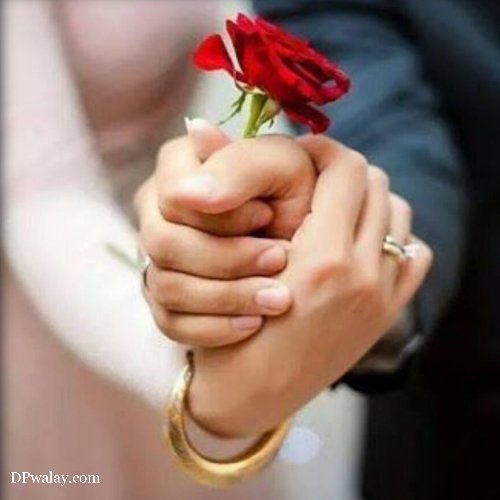 person holding rose in their hand
