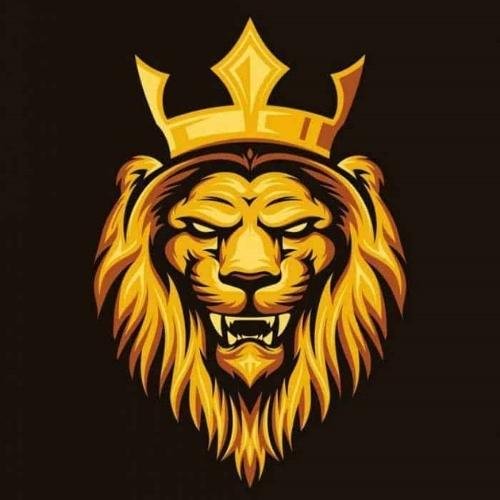 lion king dp