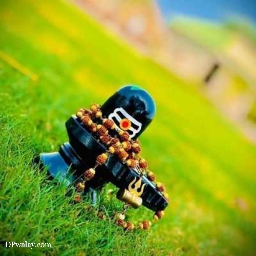 lego figure is sitting in the grass