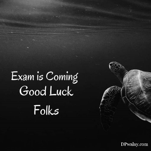 turtle swimming in the ocean with the words exing god luck study dp
