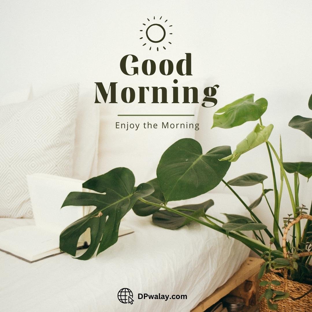 bed with plant in the corner Beautiful Good Morning