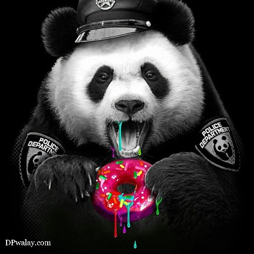 pandbear holding dont with dont dont dont dont dont cute panda dp