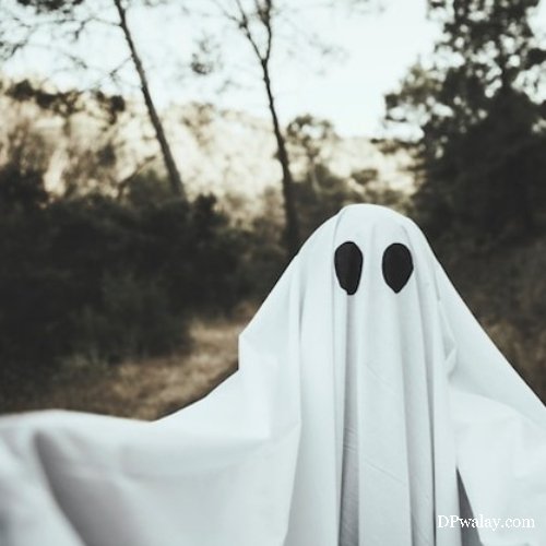 ghost with white cloak over it