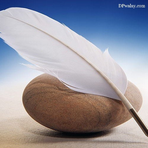 feather and stone on beach