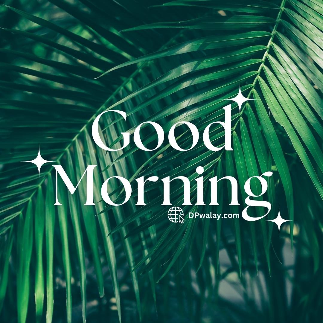 palm tree with the words good morning