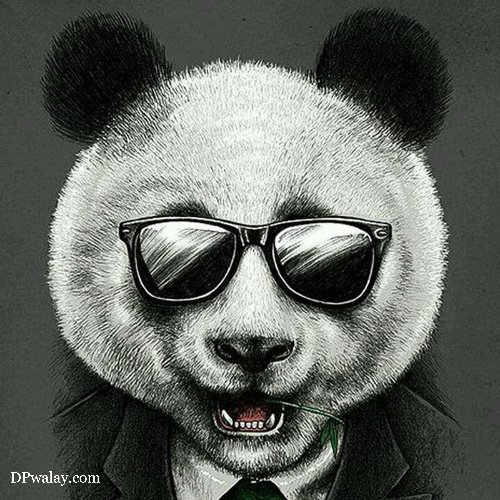 pandwearing sunglasses and tie images by DPwalay