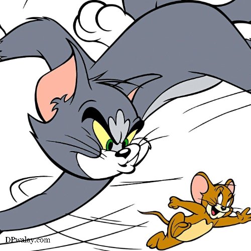 tom and jerry the cat tom and jerry dp