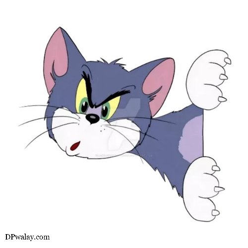 cartoon cat with green eyes and white nose tom and jerry dp
