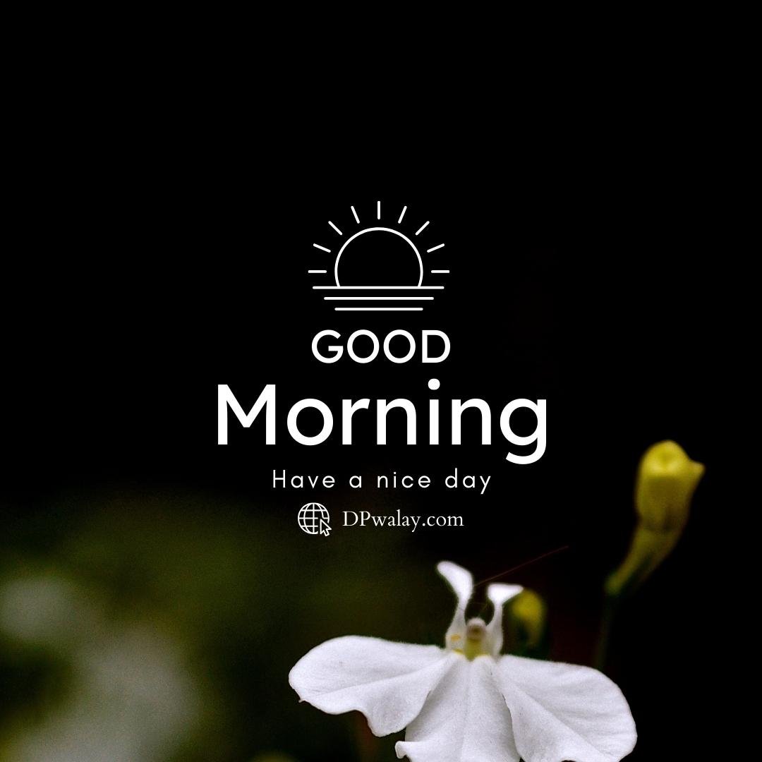 white flower with the words god morning above it Goodmorning Image